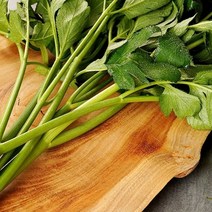 산세로 무농약 신선초 1kg 녹즙용, 1개
