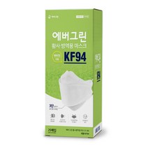 에버그린 황사방역 마스크 대형 KF94, 25개입, 1개