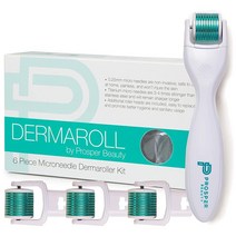 Derma 롤러 마이크로니들 6피스 키트 [DERMAROLL by Prosper Beauty] 페이스 교체 가능한 헤드 4개 각질 제거 미세 박피 마이크로 더마 스킨 케어 도구 더