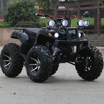 4륜오토바이 전동 사발이 전기 농업용 레저 3륜 사륜 파므럭 ATV 동력운반차, 2인승 전기 고카트 오렌지