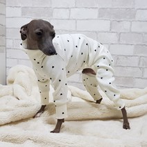 러블리블로 이탈리안그레이하운드 보라 올인원 아이보리 칼라