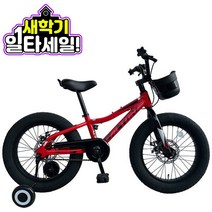 [지멘스 자전거]알톤 액시언 팻 바이크 18인치 키즈 어린이 보조바퀴 유아 아동용 조카 선물, 액시언 팻_미스티블루_완전조립 및 테스트