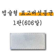 버섯종균 표고버섯 종균 캡슐형 1판 606알 캡슐종균 캡슐버섯 표고, 표고캡슐종균 1판 606알