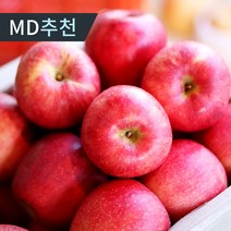 [당일수확] 햇 빨간사과 가정용 고당도 꿀사과 홍로 부사 사과, 1박스, 4.5kg 중과(18-19과)