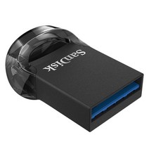 SOI 샌디스크 울트라핏USB 3.1 256G, 단일옵션