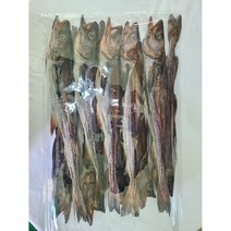 강원도 국내자연건조 언바람 묵호태 프리미엄 명품 북어 통북어 10미, 특대(48~52cm)