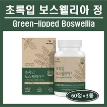 식약처 초록입 보스웰리아 정 캡슐 보스웰리아 추출분말 가루 원물 인도산 보스웰릭산 AKBA KBA 초록입홍합 유향나무 관절 연골 무릎 뼈 건강 영양제 추천 홈쇼핑 boswellia, 3통, *초록입보스웰리아정 (1000mg×60정)