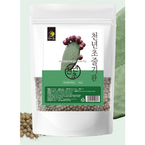 천년초 천연초 선인장 손바닥선인장 부채선인장 제주선인장 천년초선인장 천년초열매 천년초분말 환 500g