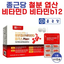 비타민 b12 엽산 비타민d 비타민12 혈액 철분 엽산영양제, 종근당 철분 60캡슐 x 3통
