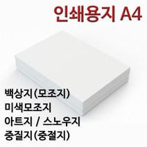 종이백화점 인쇄용지 A4 백상지 모조지 미색모조지 아트지 스노우지 중질지 중절지 주보용지 상장용지, 100g 아트지 A4, 250매