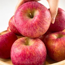 고당도 경북 청송 사과 햇 부사 정품 흠과 혼합 가정용 10kg 중과 (34-35과)