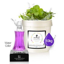 아로화 Arohwa 아로마 입욕제 족욕제 가성비 좋은 대용량 국내산 아로마 바스솔트 허브, Herb (허브)