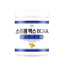 스포츠와헬스케어 스트롱맥스레몬맛 아미노산 헬스보충제 BCAA500g, 1개