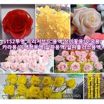 1리터 알파용액(탈수 탈색보조 성형 안정제) / 알파플러스(표백) 옵션선택 [드림팜웰] 이액형 프리저브드 용액 (특허정품), 알파용액