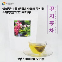 4대항암약초 꾸지뽕 여성건강 뼈건강 당뇨개선 꾸지뽕차 100티백 3봉, 1g, 3개, 100개입