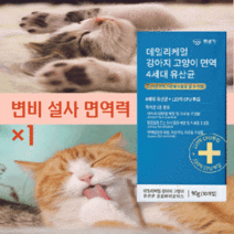 펫생각 강아지유산균 고양이유산균 강아지변비 고양이변비 강아지입냄새 강아지변냄새 고양이입냄새 고양이변냄새 고양이 오줌냄새 대형견 소형견유산균, 1박스