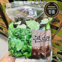 [코스트코] 구매대행 델프리스 국내산 건 곤드레 나물 300G 곤드레밥/곤드레나물무침/웰빙밥상/비빔밥/건나, 확인완료