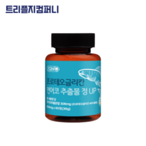 지후아 프로테오글리칸 관절 연어코연골 추출물 정 식약처인증 (사은품증정), 1개, 60정