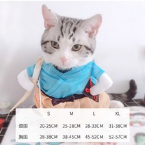 애완 동물 고양이 개 그물 빨간 재미있는 옷 스푸핑 키티 떨림 여름 귀여운 테디 코지 차이 개, 푸다오 타이 모우