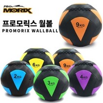 코어근육운동 전신운동 월볼 9Kg