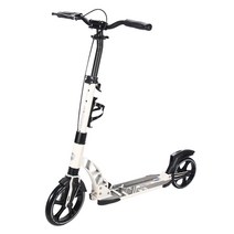 두발킥보드 수동킥보드 전기킥보드 듀얼트론 바퀴큰전동킥보드 전동킥보드 듀얼전동킥보드 전기바이크 샤오미 앉아서타는전동킥보드 전동스쿠터, 화이트+클래스+럭셔리 업그드