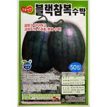 블랙참복 수박씨앗 50립