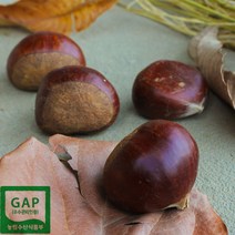 안녕이네 공주 정안밤 햇밤 알밤 조생밤 칼집밤(옵션선택) 2kg 국내산 GAP, 1박스, 알밤2kg(특)