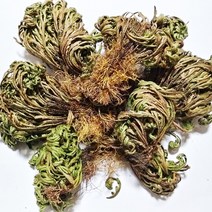 야생 부처손300g 직접채취 깨끗한 제품, 300g