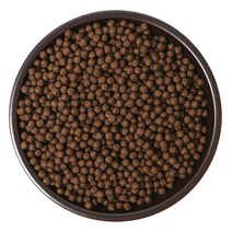 노니환 400g 1kg 노니추출분말 500g 1kg 노니, 없음