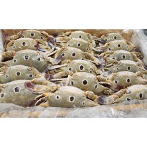 바다더하기 냉동 삼점게 암게 150/200 6kg 간장게장용 라운드게 냉동꽃게 특대, 1개
