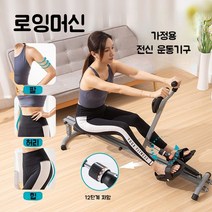 가정용로잉머신 접이식 실내 스포츠 기구 운동기구 홈트 노젓기 조정 전신 패들, 로잉머신