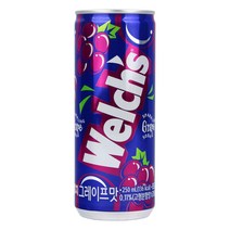 농심 웰치스 포도 (250ml x 30캔)