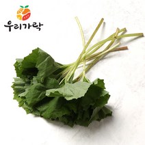 [우리가락] 머위잎 1kg 이내, 상세 설명 참조