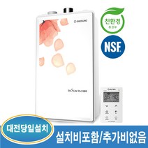 대성쎌틱 DNB 20S 33평이하 일반 가스보일러 (대전 및 인근지역 설치가능), DNB-20S-33평이하+경보기