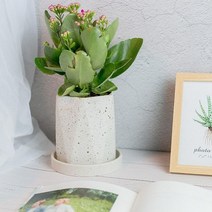 cocooning Design 아파트 안방 거실 테이블 가정용 고급화분, 화이트