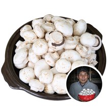 부여 못난이 양송이 버섯 2kg 산지직송 ugly white button mushroom B품, 1box