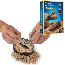 티라노이빨 화석캐기 발굴 키트 장난감 8세 집중향상