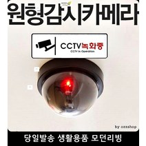 방범용카메라 방범 도어경보지 모형CCTV 창문 잠금장치 cctv작동중 보안용품, 창문잠금장치(화이트)