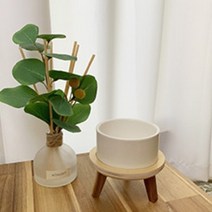 수제공작소 강아지 고양이 화이트 도자기 식기 밥그릇, 1개