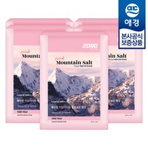 2080 퓨어 핑크솔트 포켓 마우스워시 구강청결제 50p, 500ml, 5개