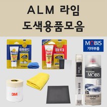 순정품 기아 ALM 라임 자동차 차량용 붓펜 카페인트 도색 스프레이 모닝, 02.스프레이: ALM 라임 (당일발송)