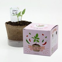 팜팜농장 고추 모종키우기, 상세페이지 참조