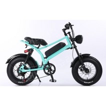 16인치 전동 펫바이크 산악 전기자전거 와이드 타이어 자토바이, 10AH, 16인치  비앙키 그린