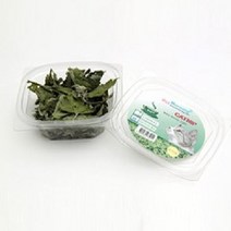 펫모닝 차마시는 고양이 캣닢 2g 토이 장난감, 상세페이지 참조, 상세페이지 참조, 상세페이지 참조