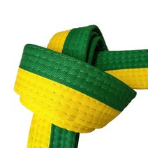 주짓수 벨트 퍼플 블루 블랙 승급 검은띠 흰띠 새로운 도착 패션 맞춤형 자수 4cm 무술 태권도 가라데 유도 bjj 벨트, 연두색, 280cm