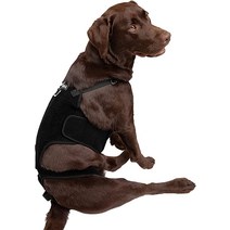 강아지관절영양제 Labra Dog Canine K9 등 보호대 IVDD 척추 통증 ampamp 부상 관절염 코기스 닥스훈트 수술 후 회복 재활 염증을 위한 돌출 디스크 보조기 초대, [02] 작은