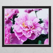 ps362-부를부르는풍수작약꽃_창문그림액자, D타입엘레강스실버