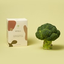 건강한 브로콜리 새싹효소 발효곡물 유기농 과일야채 함유, 1박스(3g x 30포/90g), 1개
