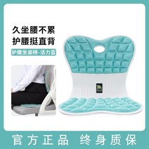 자세교정 허리쿠션 의자 애플힙 방석 벨런스 선물 공시생 다이소 좌식 골반교정 보호대 등받이 허리편한 앉은뱅이 자세업 쿠션 허리받침대 엉덩히 기도 허리, A