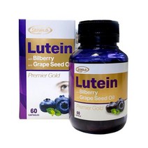 호주 오리진에이 빌베리 루테인 10000 20일분 빌베리추출물 영양제 호주산